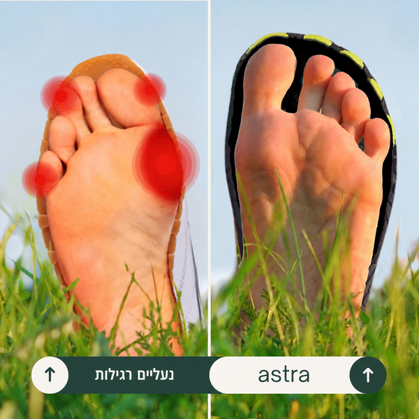 מבנה שתומך בגוף כולו
